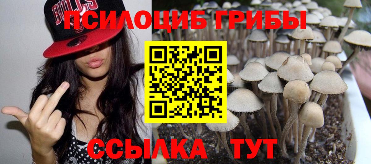 Галлюциногенные грибы мицелий Мурманск